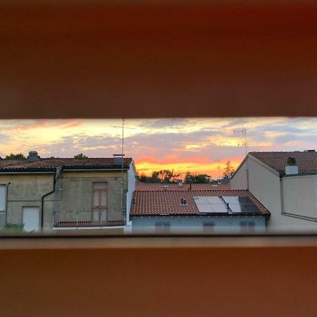 La Vecchia Soffitta Hotell Cotignola Eksteriør bilde